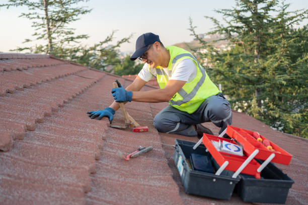 Roof Gutter Cleaning in Bryn Mawr, PA